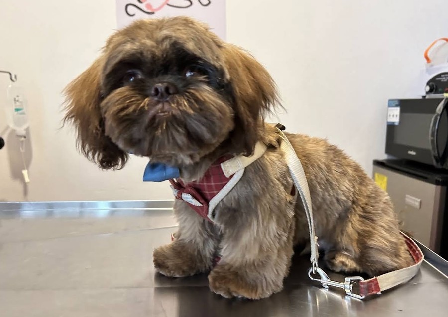 Cliente: café con moño azul