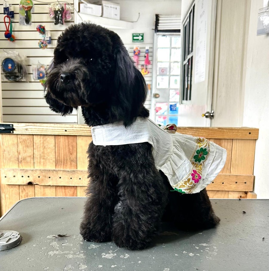 Cliente: negro con vestido